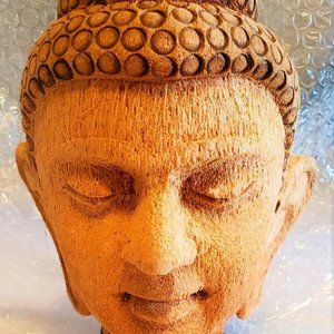 10" Coconut Husk Buddha made in India